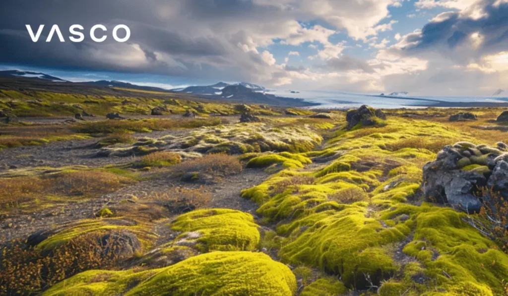 iceland